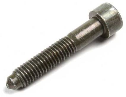 VW Intake Manifold Bolt N90424201